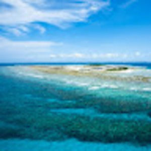 Meet your Posher, Gary